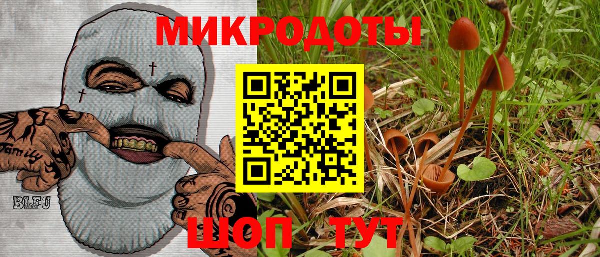 Галлюциногенные грибы Magic Shrooms Куйбышев