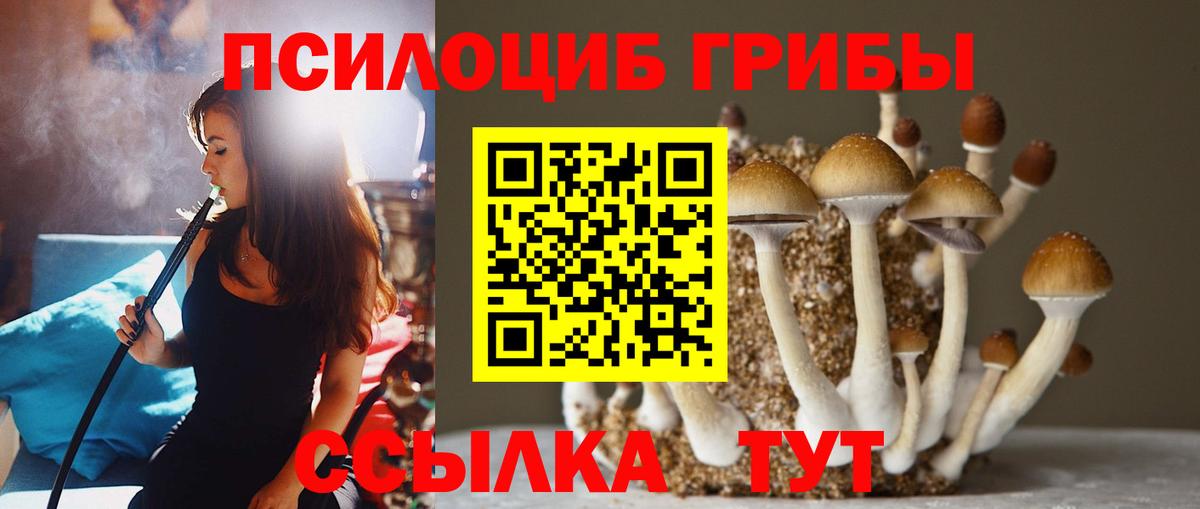 Псилоцибиновые грибы мицелий  продажа наркотиков  Куйбышев  Вход с VPN  Галлюциногенные грибы мицелий 